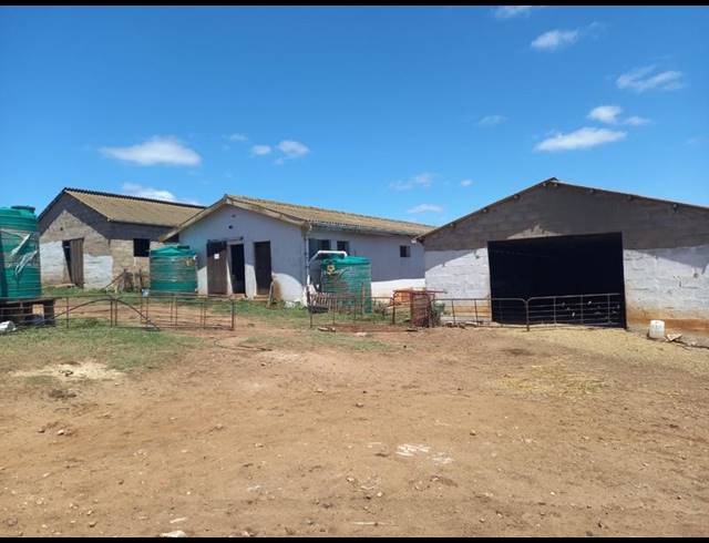 FARM FOR SALE IN RIVERSDALE